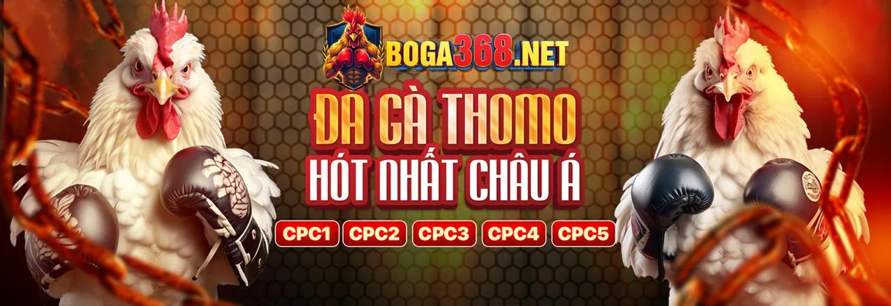 Hình ảnh tổng hợp các trò chơi cá cược đa dạng tại 247asia