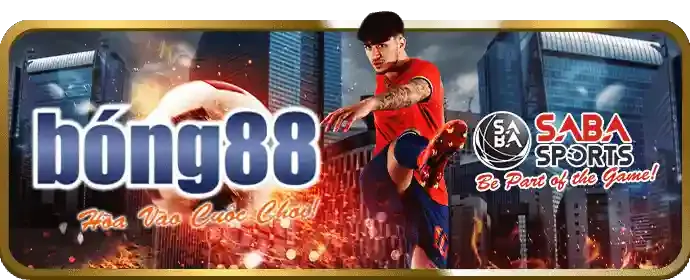 Hình ảnh sân vận động bóng đá với khán giả cuồng nhiệt, tượng trưng cho cá cược thể thao tại 247asia.